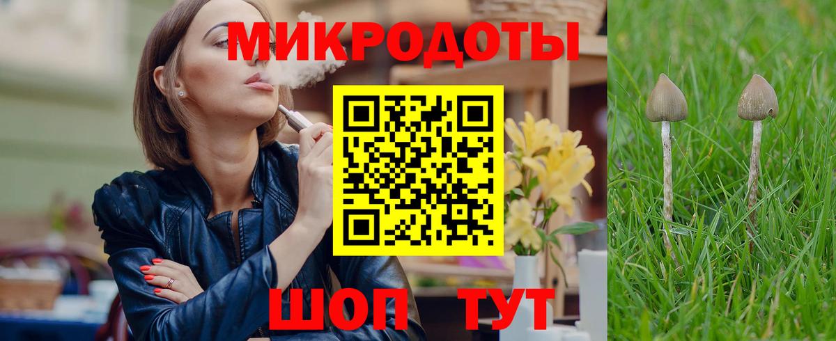 Галлюциногенные грибы мухоморы Воркута